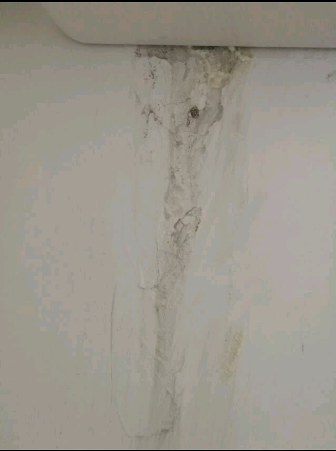 微信圖片_20190411082338.jpg 微信圖片_20190411082338.jpg